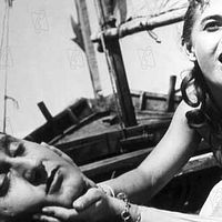 Le Cheik blanc : Photo Alberto Sordi