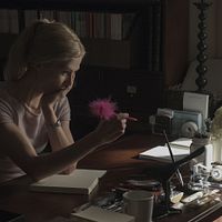 Gone Girl : Photo Rosamund Pike