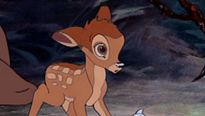 <strong>Bambi</strong> Extrait vidéo VF