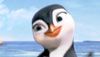 <strong>Les Rois de la glisse</strong> Teaser (3) VF
