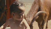 <strong>Bébés</strong> Extrait vidéo (7) VF
