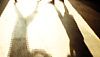 <strong>Never Back Down</strong> Extrait vidéo (3) VO