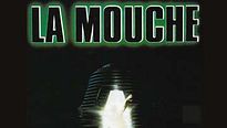 <strong>Merci Qui?</strong> N°241 - "La Mouche"