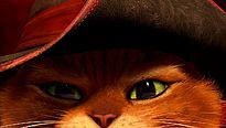<strong>Le Chat Potté</strong> Teaser VO