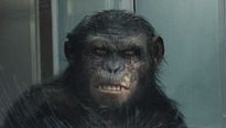 <strong>La Planète des singes : les origines</strong> Bande-annonce VF