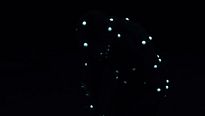 <strong>Holy Motors</strong> Extrait vidéo VF