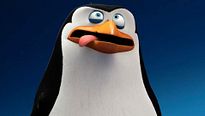 Les Pingouins de Madagascar - TEASER VF "À la rencontre de Rico"