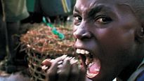 <strong>Le Cauchemar de Darwin</strong> Bande-annonce VO