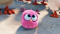 Angry Birds - Le Film Bande-annonce (2) VF