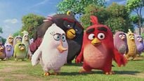 Angry Birds - EXTRAIT VOST "Feu !"