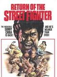 Return of the Street Fighter