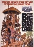 The Big Bird Cage streaming