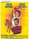 Fleur de cactus