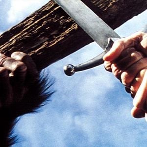 Le Monde vivant : Photo