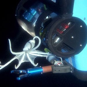 Aliens of the Deep : Photo James Cameron
