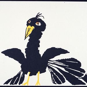 La pie voleuse : Photo