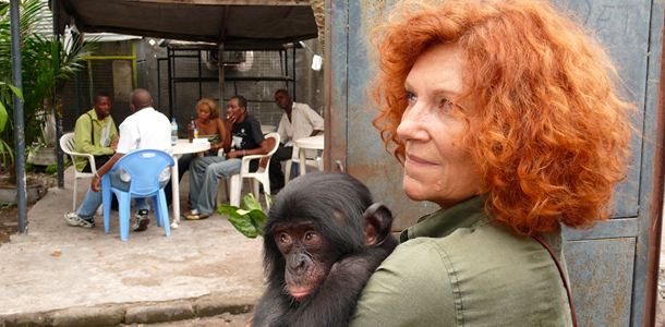 Photo - FILM - Bonobos : 185058