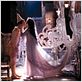 Pinocchio : photo Nicoletta Braschi, Roberto Benigni