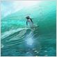 Les Rois de la glisse : photo Ash Brannon, Chris Buck