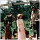 Out of Africa - Souvenirs d'Afrique : photo Meryl Streep, Sydney Pollack