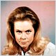 Ma Sorcière bien-aimée : photo Elizabeth Montgomery