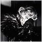 Les Oiseaux : photo Alfred Hitchcock, Tippi Hedren