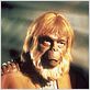 Le Secret de la planète des singes : photo Maurice Evans, Ted Post