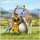 Madagascar 2 : photo Eric Darnell, Tom McGrath