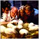 Jurassic Park : Photo