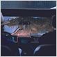 Jurassic Park : photo Jeff Goldblum, Sam Neill
