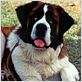 Beethoven : photo