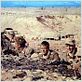 Tobruk : photo Arthur Hiller, George Peppard, Robert Wolders, Rock Hudson