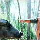 Crocodile Dundee : photo Paul Hogan, Peter Faiman