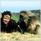 Chimpanzés : photo Alastair Fothergill, Mark Linfield