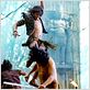 Ong-Bak 2, la naissance du dragon : photo Tony Jaa