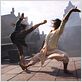 Ong-bak 3 - L'ultime combat : photo