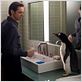 M. Popper et ses pingouins : photo Jim Carrey, Mark Waters