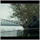 Best Plans : photo Adewale Akinnuoye-Agbaje, Stephen Graham