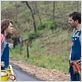 Prince Avalanche : photo Emile Hirsch, Paul Rudd