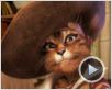 La Véritable histoire du Chat botté Bande-annonce La Véritable histoire du Chat botté Bande-annonce