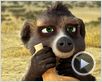 Animaux et Cie Bande-annonce VF