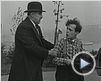 Les Folles inventions de M. Bricolo Bande-annonce VO