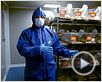 Tous Cobayes? Bande-annonce Tous Cobayes? Bande-annonce