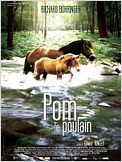 Pom le poulain