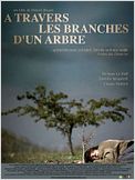 A travers les branches d'un arbre
