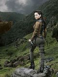 Les Chroniques de Shannara Les Chroniques de Shannara