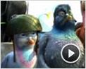 Vaillant, pigeon de combat ! Bande-annonce VF