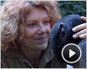 Bonobos Bande-annonce