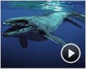 Océanosaures 3D : Voyage au Temps des Dinosaures Bande-annonce VO