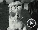 Frankenweenie Extrait vidéo (5) VO